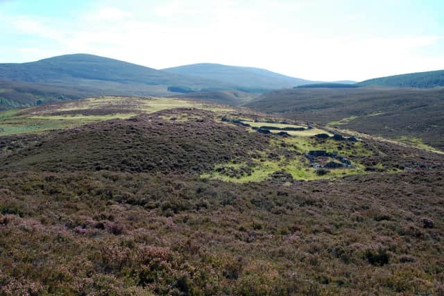 Tomfad farm in Glen Feshie, described as Badenoch's remotest farm, from where some of the new settlers in Ontario hailed. PIC: David Taylor.