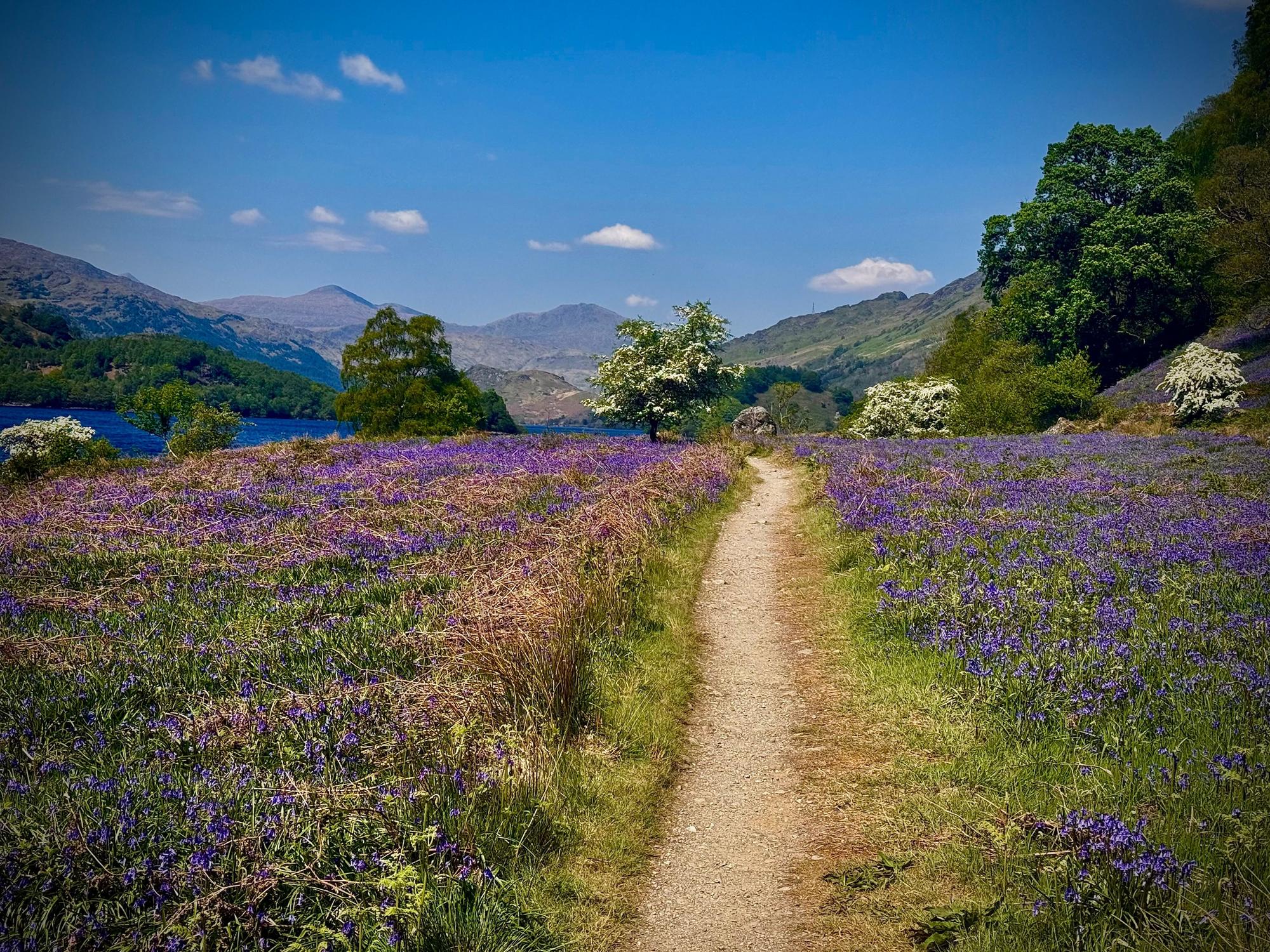 Could Britain’s favourite path be in Scotland?