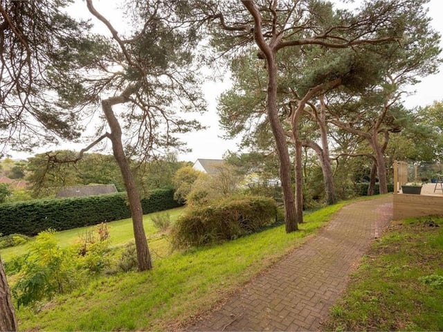 Rear garden.