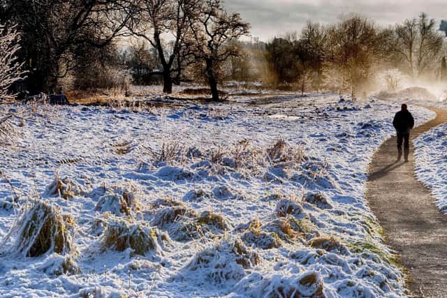 Winter path