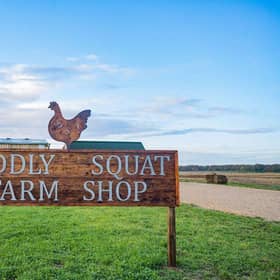 The Diddly Squat farm shop sells local produce from the farm and neighbouring local producers in the Cotswolds (Picture: Clarkson's farm)