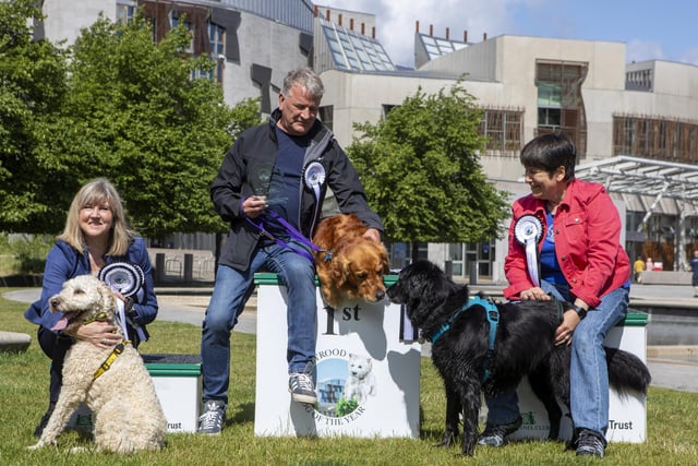 Buster, the six-year-old Golden Retriever, and owner David Torrance MSP won the Dog of the Year competition. Second place Kura is an eight-year-old Flat Coated Retriever and is pictured with owner Tess White MSP, while third place went to Oakley from Dogs Trust with Presiding Officer Alison Johnstone. Picture: SWNS