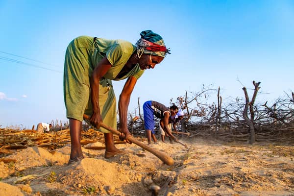 Janet Zirugo, who has been severely impacted by drought in Mutoka District, Zimbabwe, is now receiving training in climate smart agriculture techniques (Piture: Christian Aid/David Brazier)