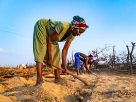 Janet Zirugo, who has been severely impacted by drought in Mutoka District, Zimbabwe, is now receiving training in climate smart agriculture techniques (Piture: Christian Aid/David Brazier)
