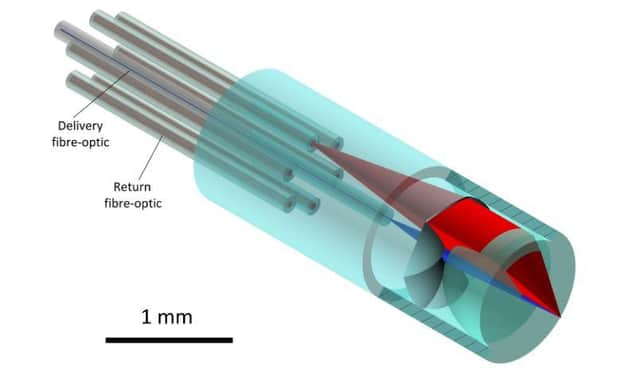 Laser fabricated fibre-optic probe for biomedical tissue optical biopsy applications (Credit: C. Ross)