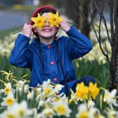 Spring has sprung and brought new hope