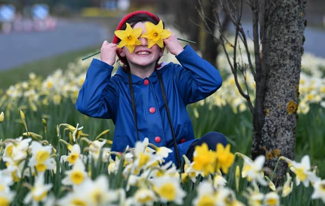Spring has sprung and brought new hope