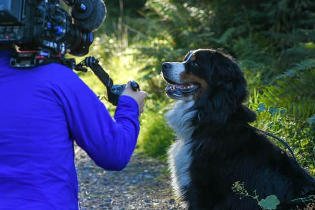 Brannigan gets ready for his close up