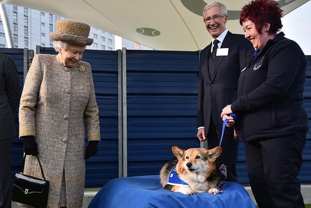 The royal Corgis have been depicted and immortalised in various artworks, including statues, professional photographs, and paintings. A notable example is the coin commemorating the Golden Jubilee which depicts the Queen with a Corgi.