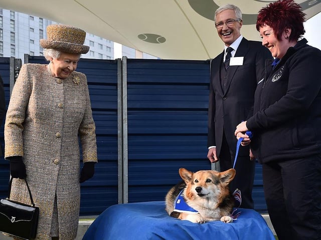The royal Corgis have been depicted and immortalised in various artworks, including statues, professional photographs, and paintings. A notable example is the coin commemorating the Golden Jubilee which depicts the Queen with a Corgi.