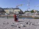 Tourists feed seagulls in front of the Presidential palace in Helsinki, Finland. The country was named the happiest nation in the world for the sixth year in a row.