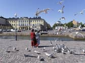 Tourists feed seagulls in front of the Presidential palace in Helsinki, Finland. The country was named the happiest nation in the world for the sixth year in a row.