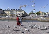 Tourists feed seagulls in front of the Presidential palace in Helsinki, Finland. The country was named the happiest nation in the world for the sixth year in a row.