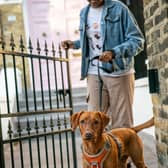 Nearly half of UK dog owners walk their pets in dangerous heat