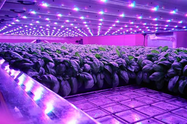 IGS (whose facilities are pictured) has teamed up with Vertegrow, which is backed by BrewDog co-founder Martin Dickie. Picture: contributed.