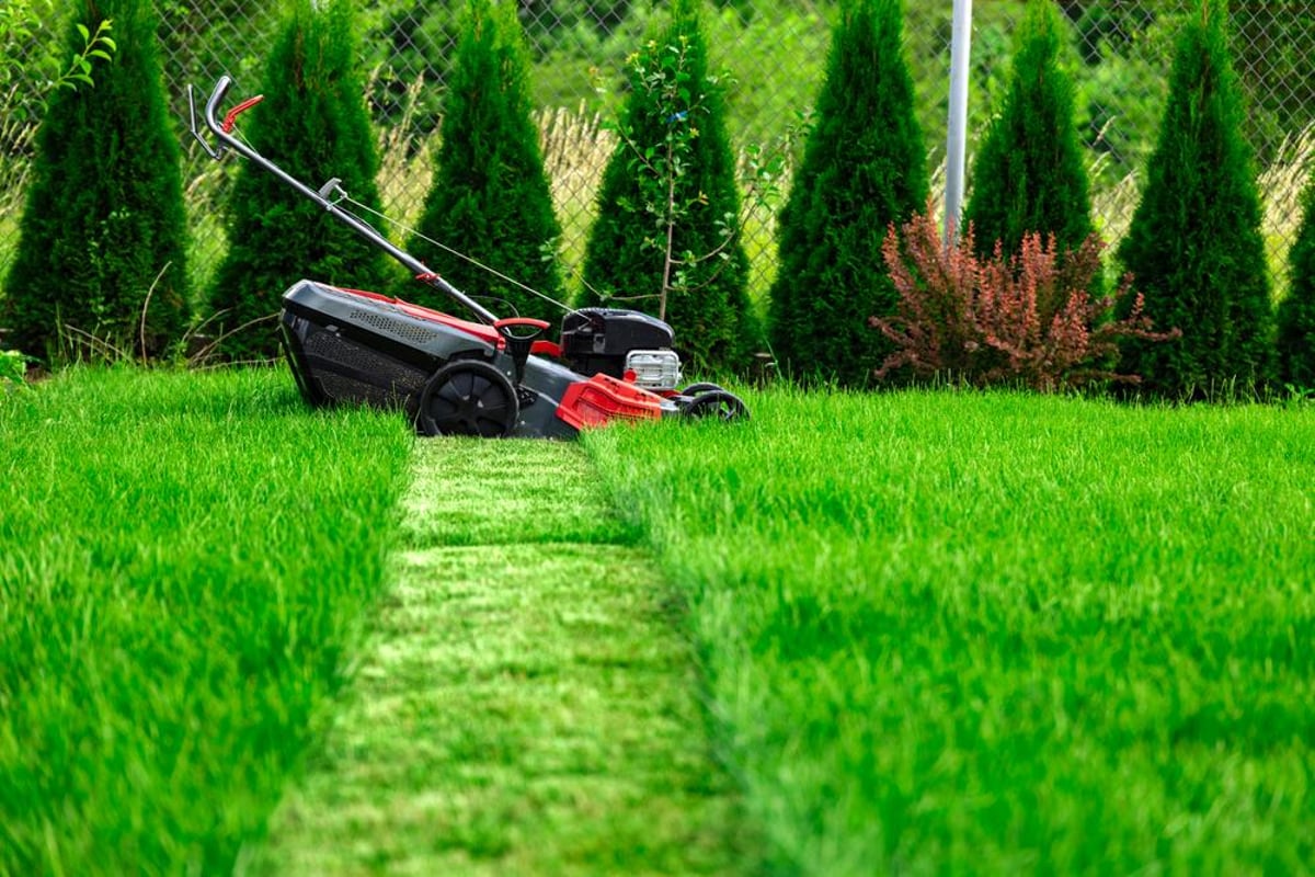 How to cut the grass: 7 top tips for lawn care - and when you should mow it  | The Scotsman