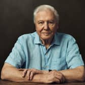 Sir David Attenborough is our guide for Frozen Planet II
