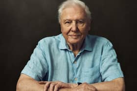 Sir David Attenborough is our guide for Frozen Planet II
