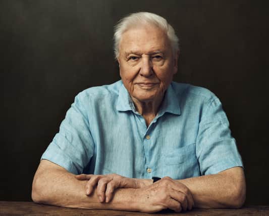 Sir David Attenborough is our guide for Frozen Planet II