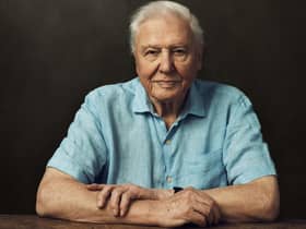 Sir David Attenborough is our guide for Frozen Planet II