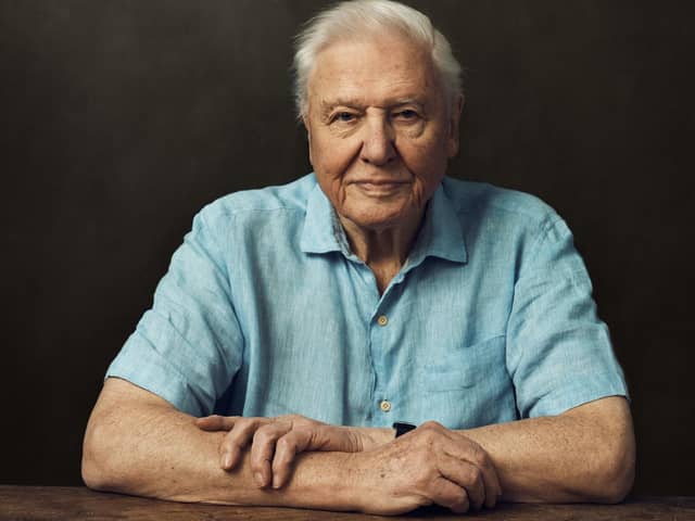 Sir David Attenborough is our guide for Frozen Planet II