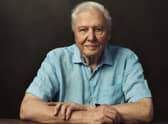 Sir David Attenborough is our guide for Frozen Planet II