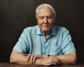 Sir David Attenborough is our guide for Frozen Planet II