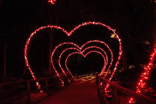 Capture the love this festive season by snapping a picture in the Heart Arch Walk.