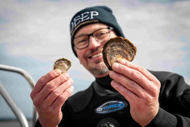 More than 20,000 native oysters have already been reintroduced to the Dornoch Firth as part of a pioneering reintroduction scheme begun by Glenmorangie Distillery in 2014 which aims to create a sustainable reef that will help clean up whisky waste and benefit the marine environment