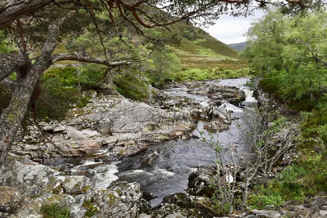 Alladale Wilderness Reserve, Sutherland, Scotland. The 23,000-acre property has remnants of the ancient Caledonian pine forest.