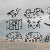 Pictish stone symbols are broadly categorised into three groups; animals, geometric designs and everyday utensils.