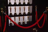 The Oscar race is now officially underway after the nominations were revealed this week.