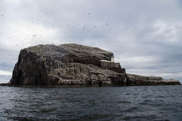 The Bass Rock was described by Sir David Attenborough as 'one of the 12 wildlife wonders of the world'