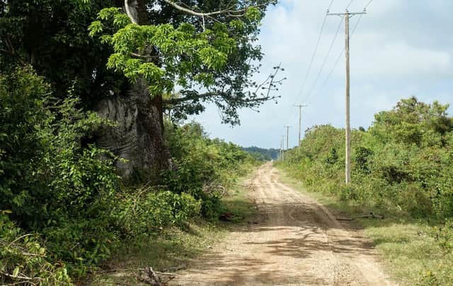 The road into the abandoned Waterloo sugar plantation in Suriname, South America, once owned by Fife doctor Sir James Balfour -  a 'strange man' of great wealth who owned some 700 slaves.