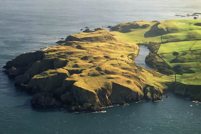 National Trust for Scotland rangers were heartbroken after 65 guillemot chicks were found dead in a single day last year at St Abb’s Head national nature reserve in the Scottish Borders