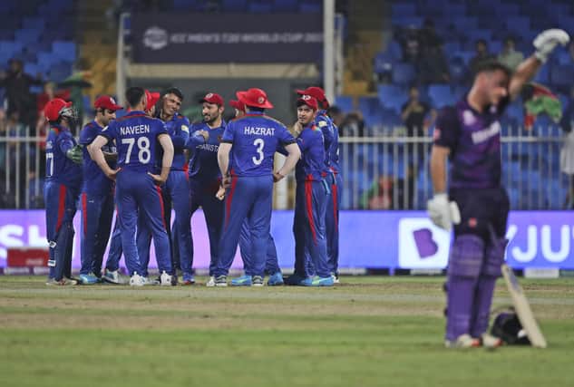 Afghanistan players celebrate the dismissal of Scotland's George Munsey during the Cricket Twenty20 World Cup match between Afghanistan and Scotland in Sharjah, UAE, Monday, Oct. 25, 2021. (AP Photo/Aijaz Rahi)
