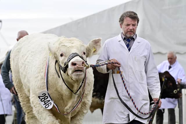 Royal Highland Show 2024