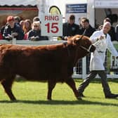 The 2021 Royal Highland Show will not go ahead as planned.