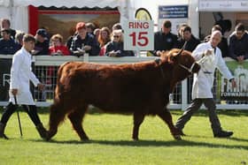 The 2021 Royal Highland Show will not go ahead as planned.