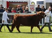 The 2021 Royal Highland Show will not go ahead as planned.