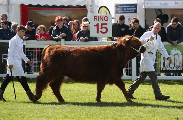 The 2021 Royal Highland Show will not go ahead as planned.