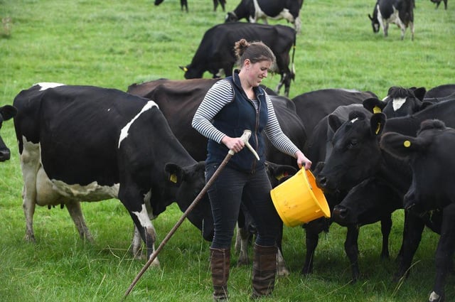 Dairy farmer Liz Haines