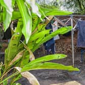 BANNED: Some developers outlaw washing lines