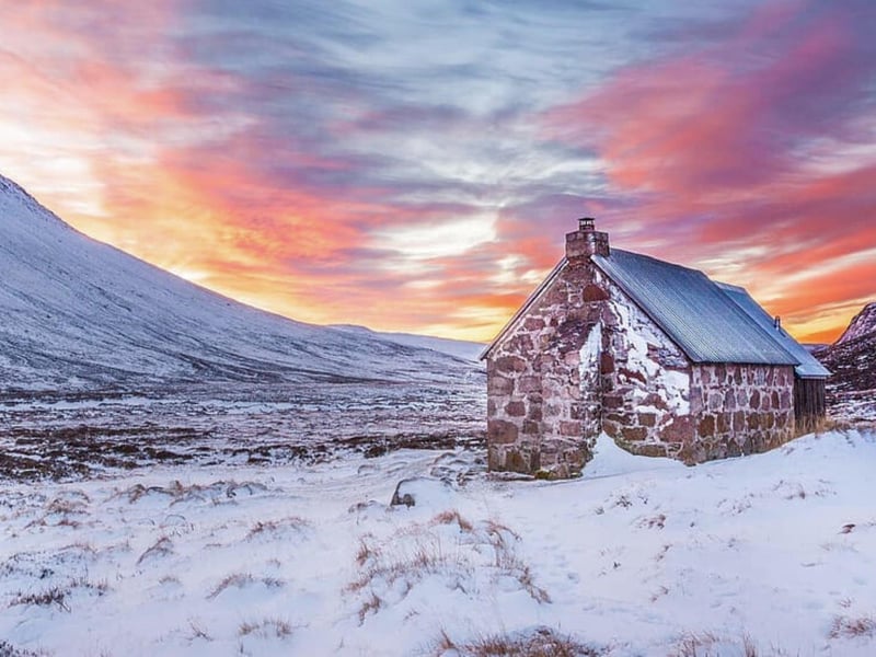 The Cairngorms National Park houses one quarter of the native forestry in Scotland. Here, you can also find the Cairngorm Reindeer Herd which is the only free-roaming herd of Reindeer you can find in Britain.