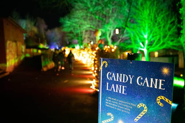 One of Compass' clients is Edinburgh Zoo, which is running Christmas Nights entertainment. Picture: contributed.