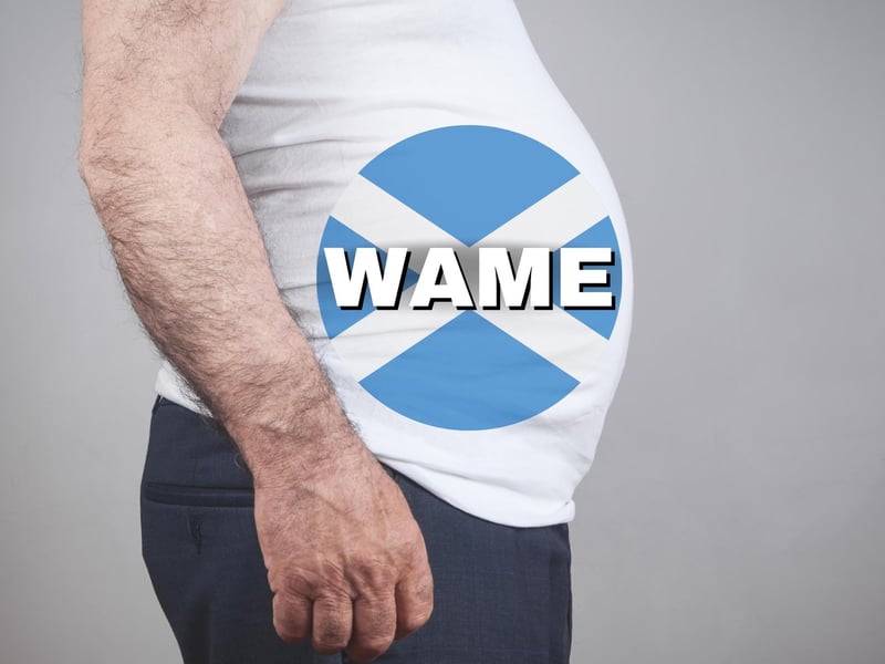 Similar to the word “womb” (but not always used as a descriptor for it) Scots use it to describe a belly. Stoory Duster provide the example: “Whit fizzes in the mooth disni aye fill the wame” (What fizzes in the mouth doesn’t always fill the belly.)