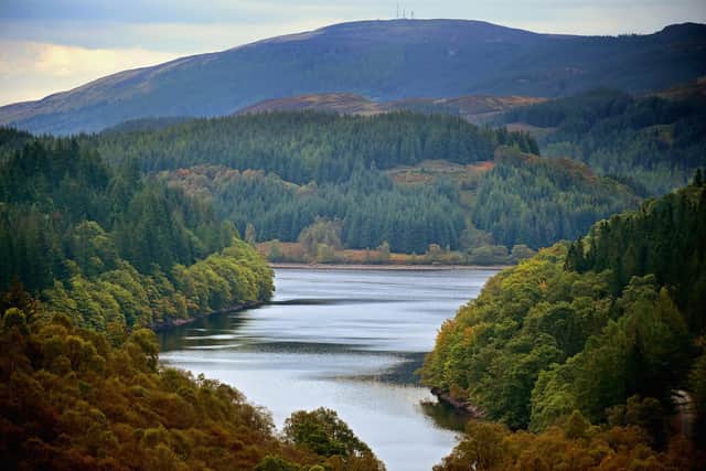 The Scottish Conservatives want to increase tree planting to 18,000 hectares a year by 2024 (Picture: Jeff J Mitchell/Getty Images)