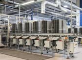 Daysoft produces around 1.5 million contact lenses every week at its Blantyre plant, near Glasgow