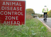 The UK is still “a long way” from being in a situation where bird flu could infect humans and spread in a similar way to Covid-19, an expert from the Animal and Plant Health Agency (Apha) has said.