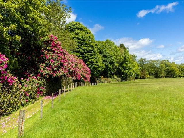 The former east drive is now a spectacular walk alongside the woodland and mature rhododendrons, whilst overlooking the parkland field.